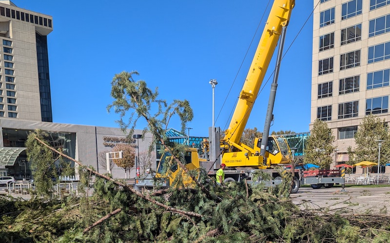 How the Mayor's Christmas Tree Comes to Be IN Kansas City Magazine